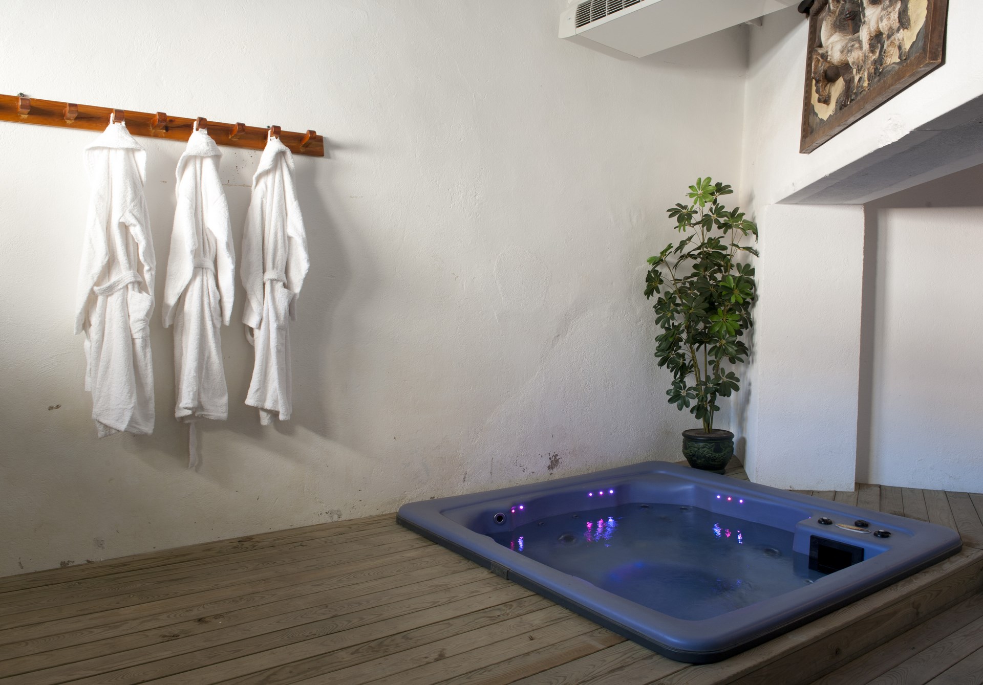 Jacuzzi de la casa rural Casa Prat de Sant Feliu de Pallerols (La Garrotxa)